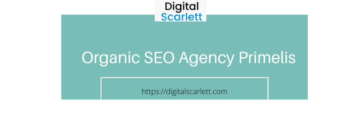 Organic SEO agency primelis