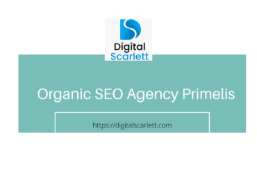 Organic SEO agency primelis