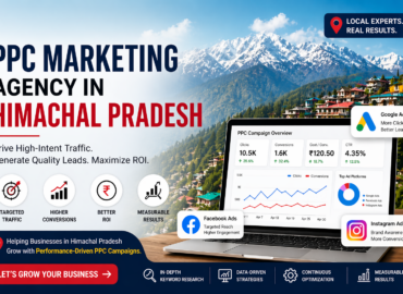 PPC Marketing Agency in Himachal Pradesh