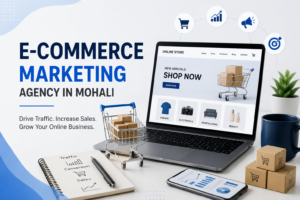 E-commerce Marketing Agency in Mohali: Scale Your Online Store with Digital Scarlett